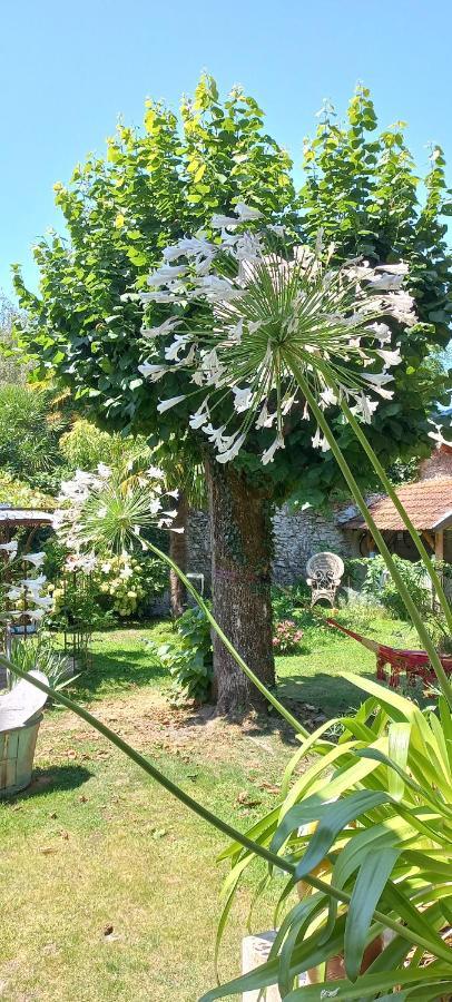 Villa Hortensia Bagneres-de-Bigorre Luaran gambar